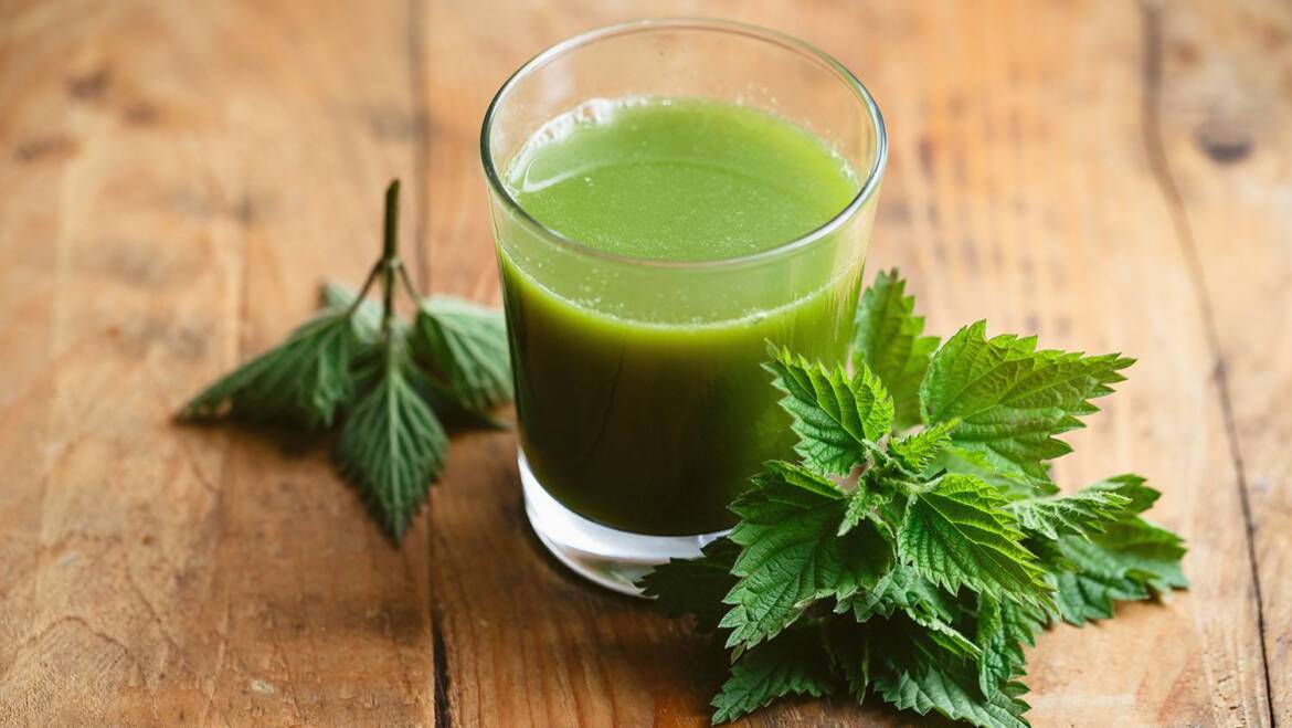 Nettle Juice for a Balanced Body