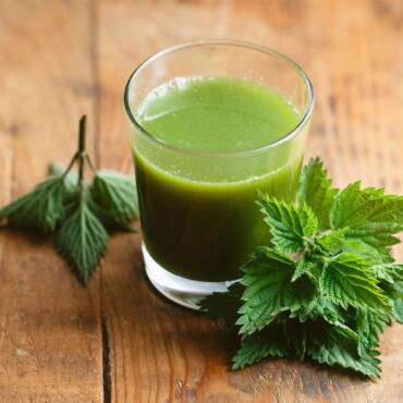 Nettle Juice for a Balanced Body