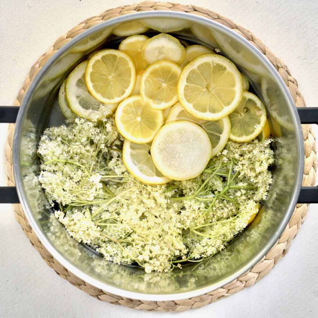 kako napraviti sok od zove how to make elderflower cordial elderflower juice