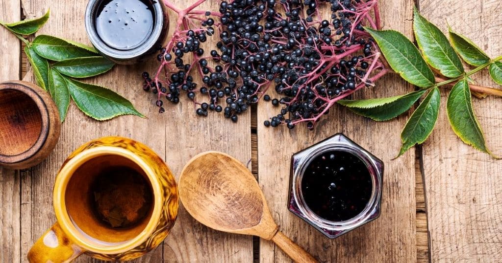 proizvodi od zove homemade elderberry products