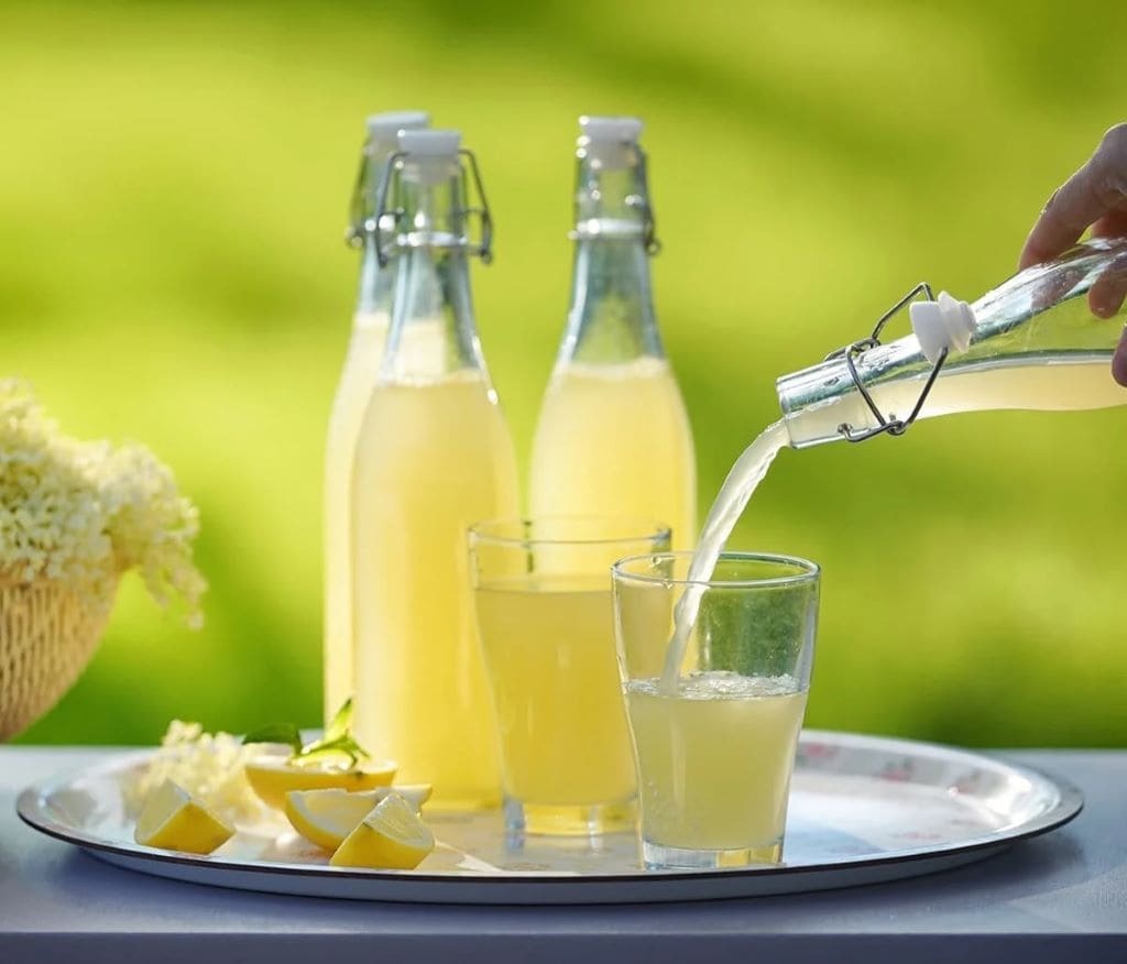 sirup od zove elderflower cordial lderflower juice