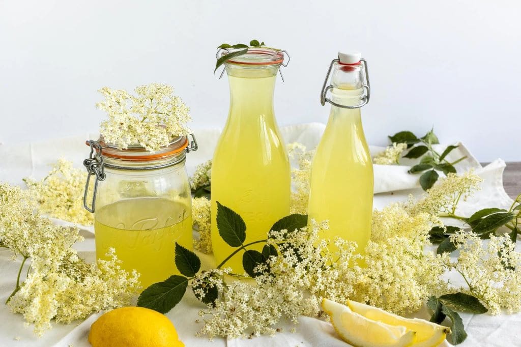 Elderflower Juice: A Nostalgic Taste of Childhood