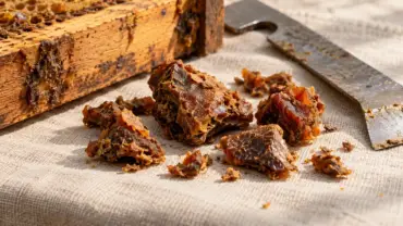 Propolis – šta je, kako nastaje i na šta obratiti pažnju pri upotrebi