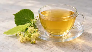 Čaj od lipe: priprema, tradicionalna upotreba i mere opreza